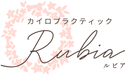 背骨や骨盤を矯正するカイロで、辛い腰痛や肩こりを緩和。那須町の「カイロプラクティックRubia」です